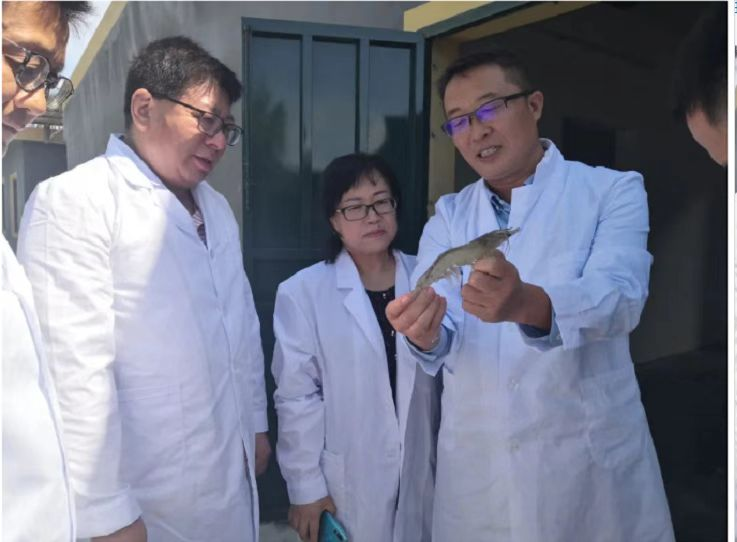 129E460A5C0793F3F8292B04B83_9266E813_55EB2