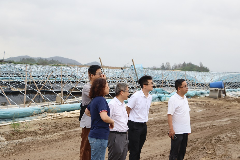 ��ҳ|�Ϲ�NG28��������Ʒ��ʵ������