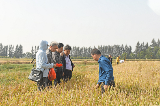 1575278006833654.jpg 1575278006833654.jpg