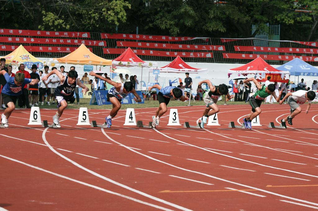 080050294C6DA4122690337A529_87A4D243_21B92 080050294C6DA4122690337A529_87A4D243_21B92