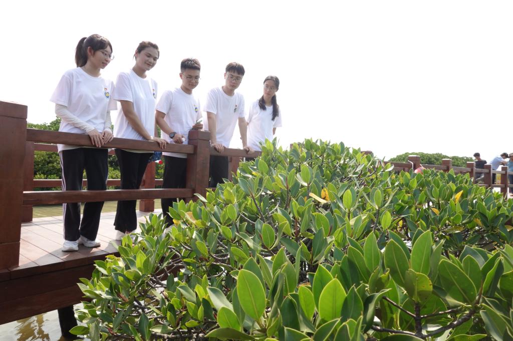 87438CAA8637F28295AF598D856_C58918C1_1AF5C