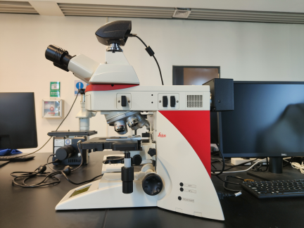 EC2DBCAE7C72DEEC0B86A72F6F9_ACAF735E_89022