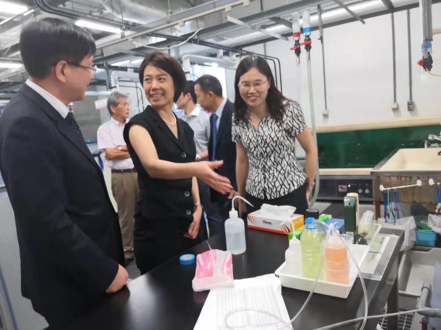 1564977510958059.jpg 1564977510958059.jpg