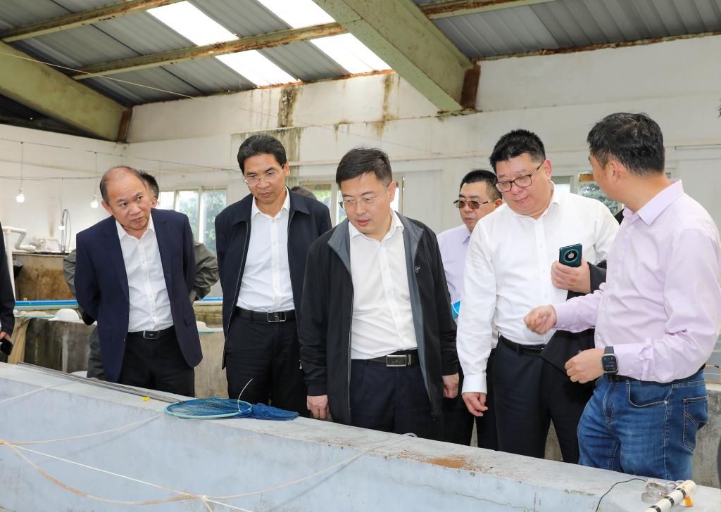 A7892BB1E6069AA11F0C740E7FD_DBAA1BAE_172CF