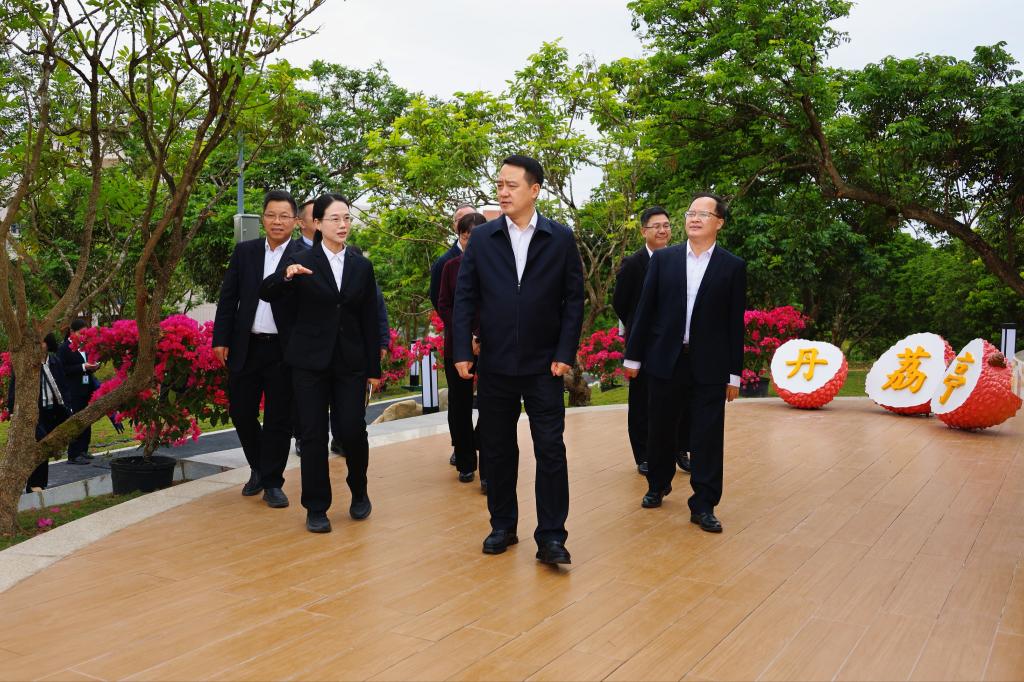 E6A97156863CAA8B834FEFD7CF1_54235EC6_24529