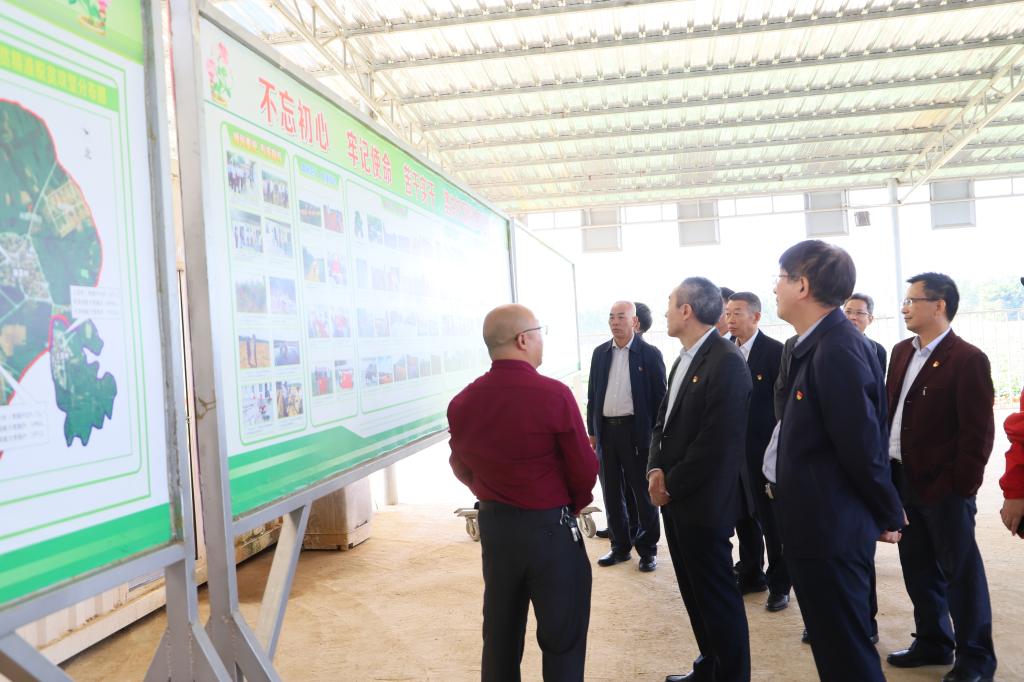 0C99F9695828AA4737EFDF9B7E8_B64BBCF4_16E76