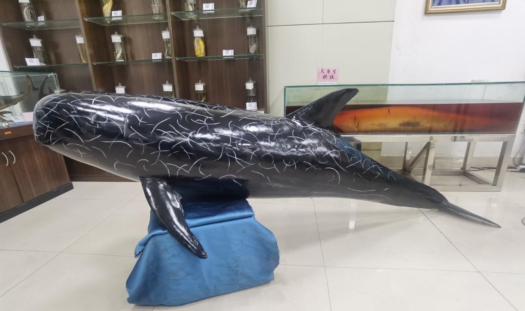 6C8A4E1577604FAEBB8EDCEB337_498B6362_11455