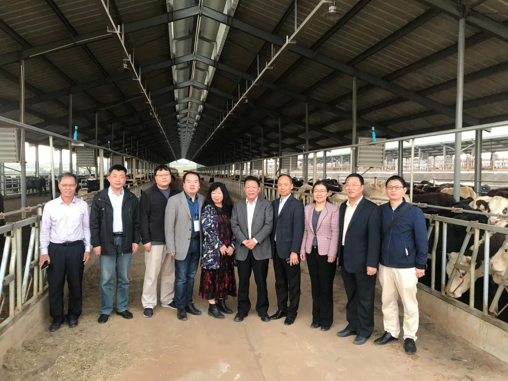 5165B96371FD48056CC4D083048_61C2645C_1FEC2