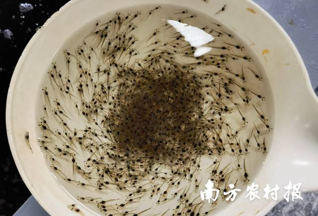 2AAF60087E14BE20EB12548C437_E8F93FF3_73754