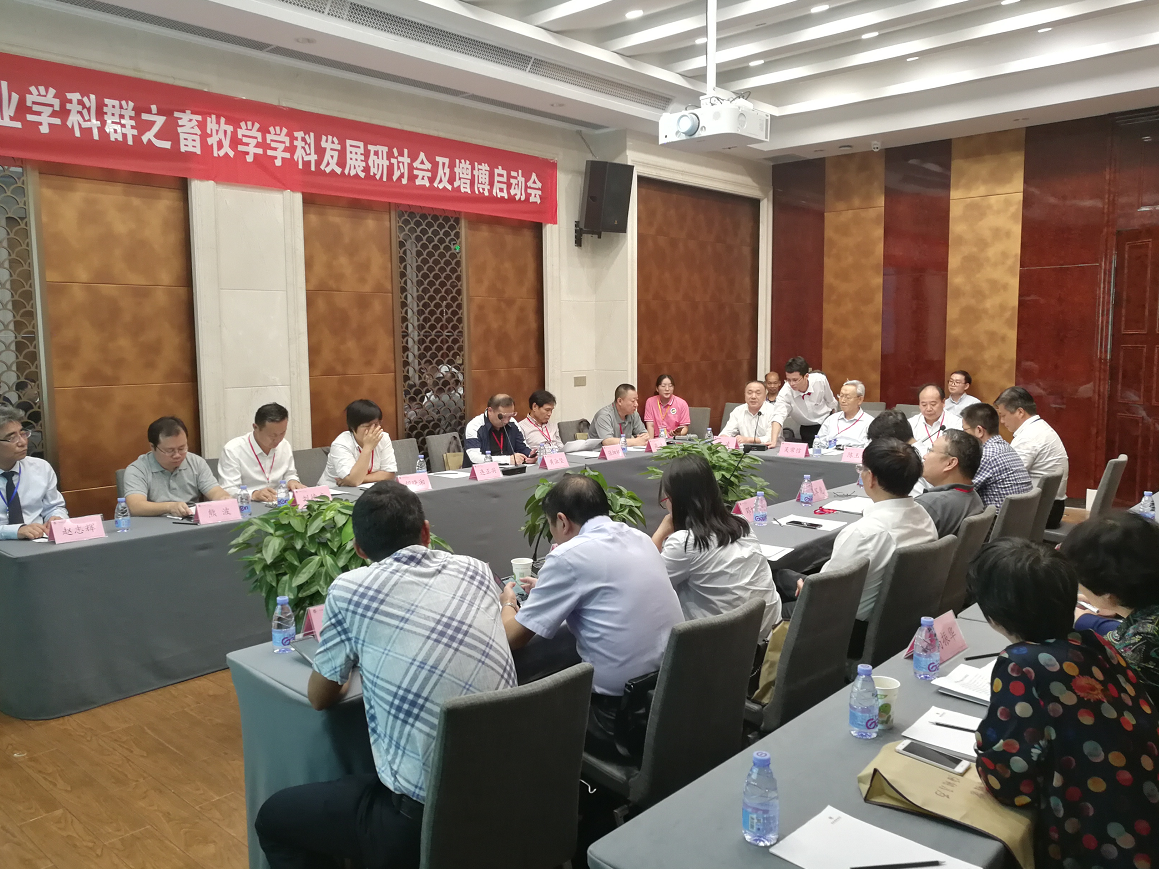 1574056045645175.png 1574056045645175.png