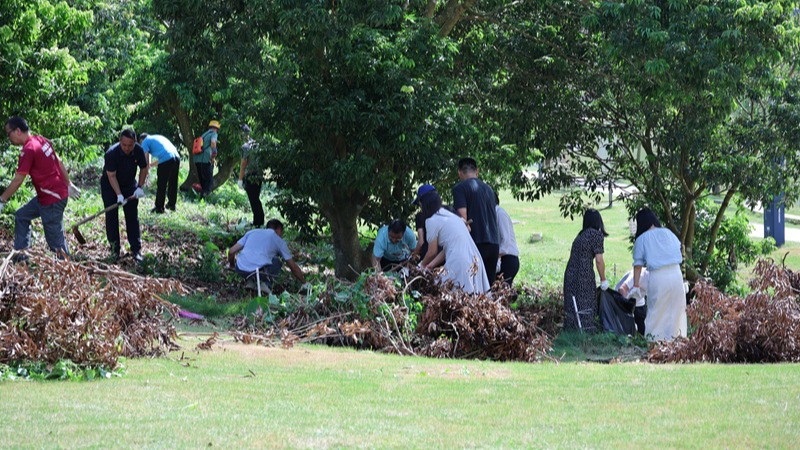 ��ҳ|�Ϲ�NG28��������Ʒ��ʵ������