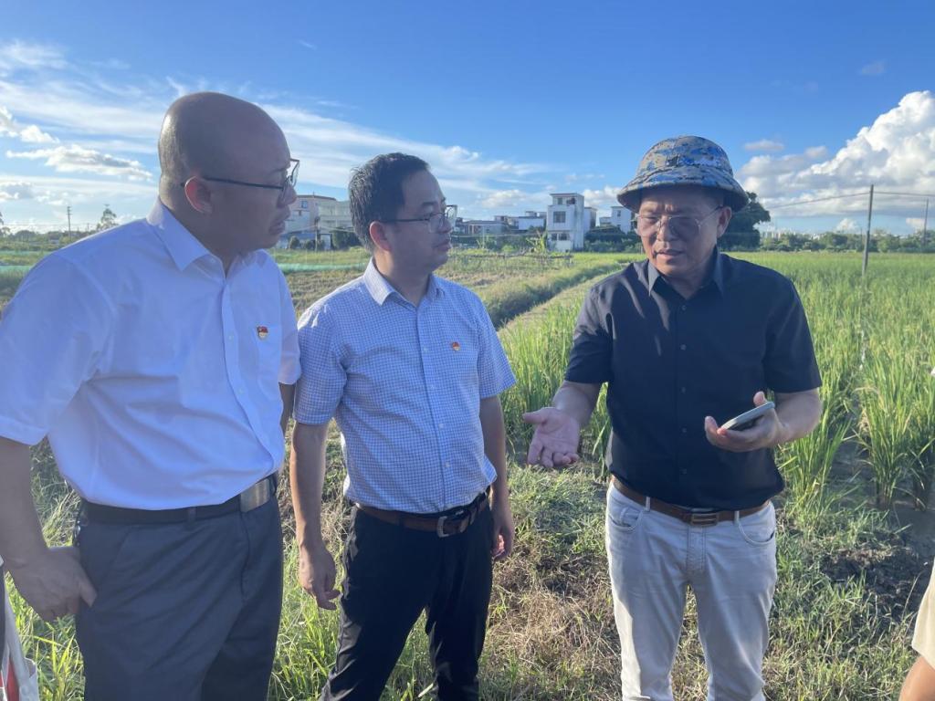 01B7E6802AE3258D673BF92143D_82E3F5DB_1AD43