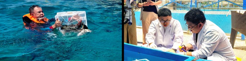 E03981526B5B2B40A50311DC534_2DD29E03_CB35