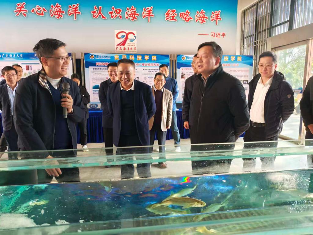 9116AE25E7F63CECA9FC51ECB2A_837BE2AC_1D987