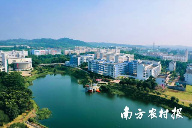 ��ҳ|�Ϲ�NG28��������Ʒ��ʵ������