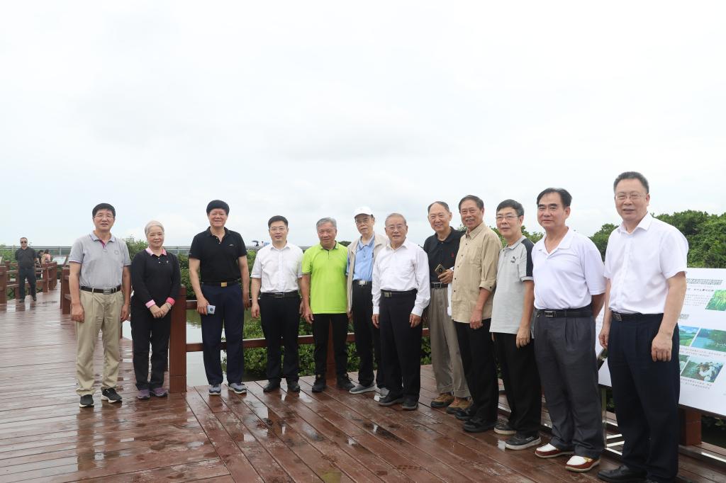 546B6130693189C5B86A6FE605C_93F155F0_1301E 546B6130693189C5B86A6FE605C_93F155F0_1301E