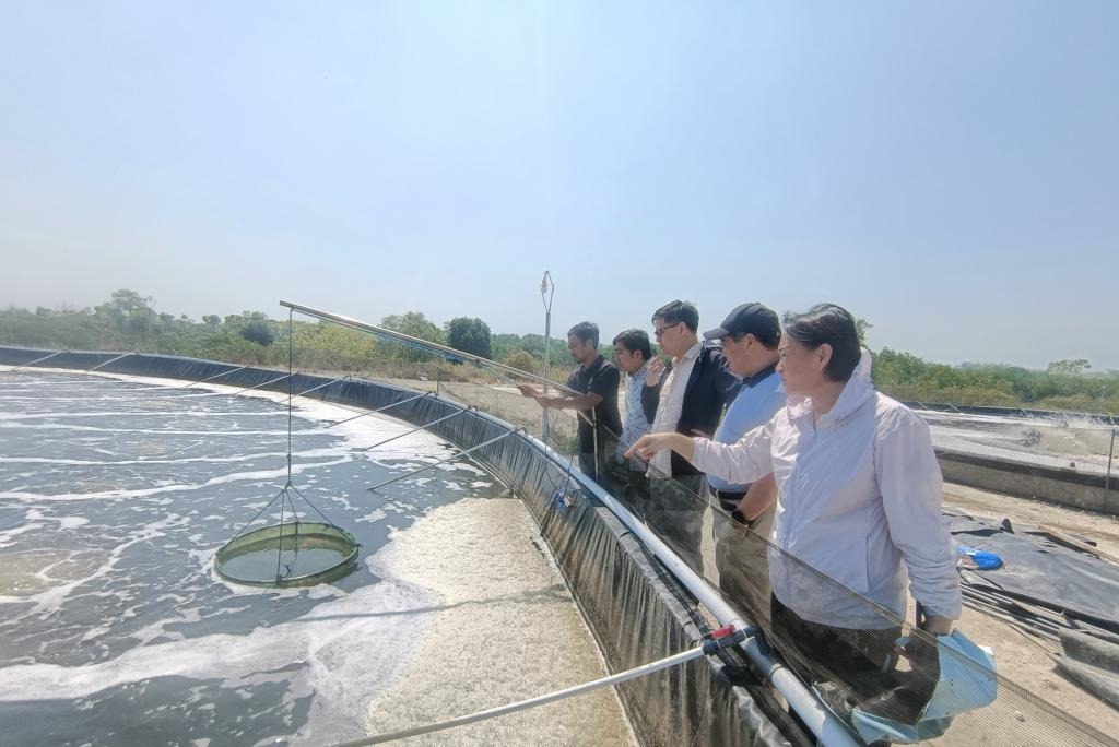 1908DA0FC65181FF8F4FE65787F_630C8190_1B352 1908DA0FC65181FF8F4FE65787F_630C8190_1B352