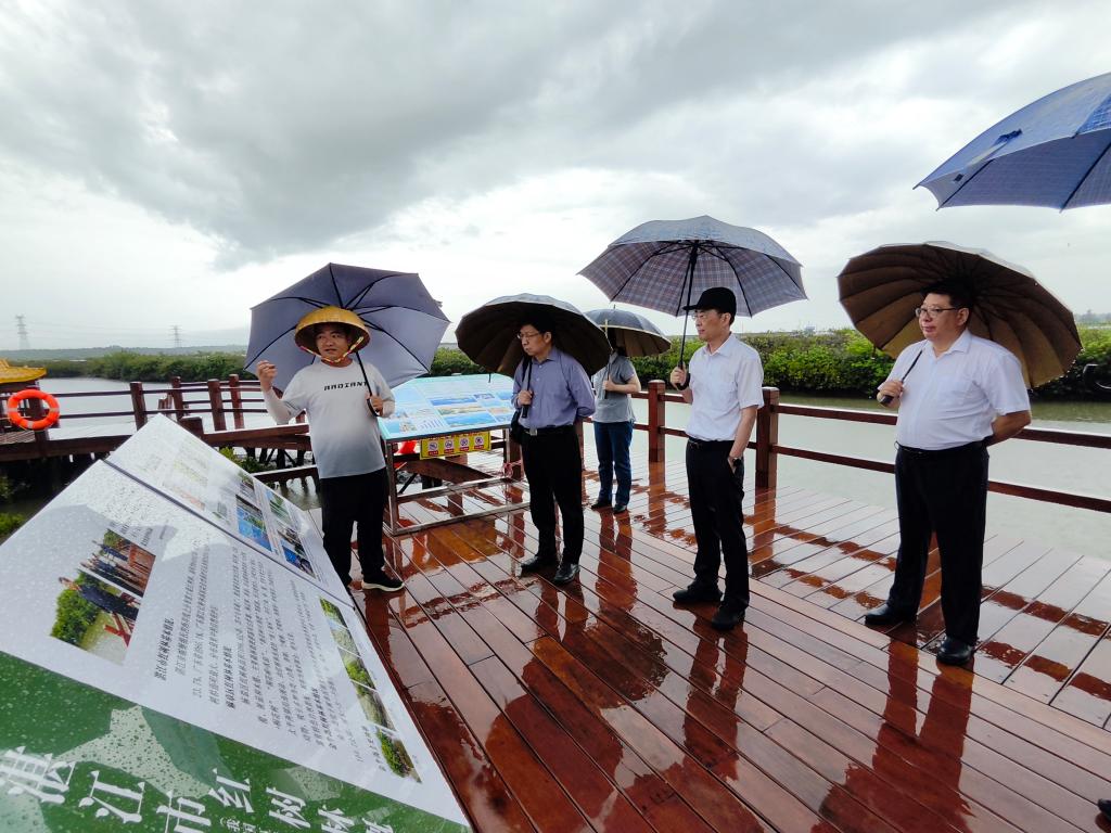 87E94E7FACE361D55BD042517CF_F2DE0644_1E120 87E94E7FACE361D55BD042517CF_F2DE0644_1E120