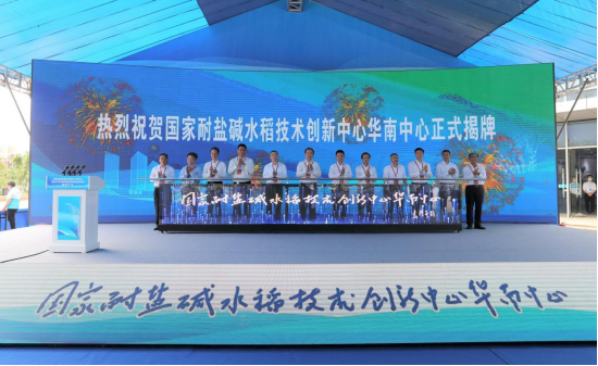 ��ҳ|�Ϲ�NG28��������Ʒ��ʵ������