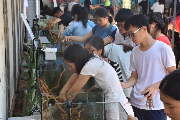 1526976955104532.jpg QQ图片20180522090114.jpg