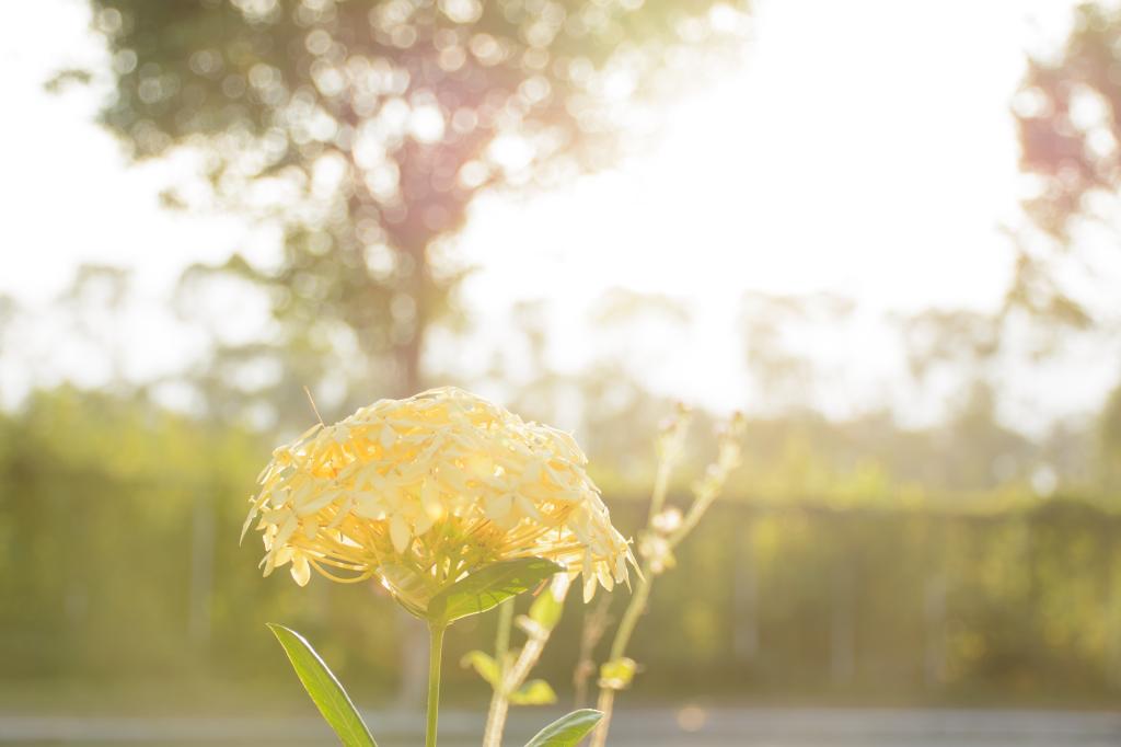 B3E8E74EEBD231E3FD3CA6FF07C_B6F78352_B840