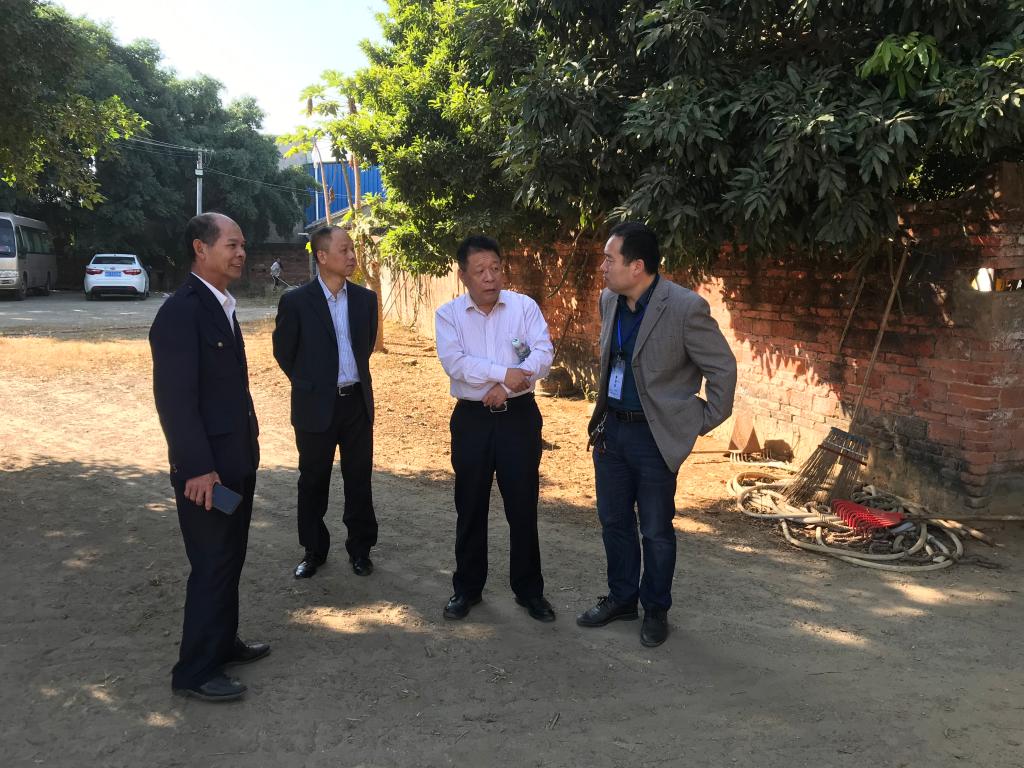 CE8D5611E9D72C8C580FF776681_DB42D6D4_2431F