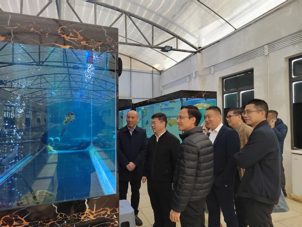 B7A6F05B336F9F5BB03EFE42E98_98DA05C7_1D6FF B7A6F05B336F9F5BB03EFE42E98_98DA05C7_1D6FF