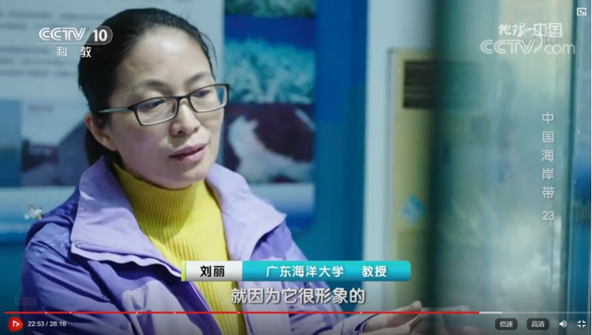 C0F95A668556CFFF9AC8E44106B_09803D6C_3282F