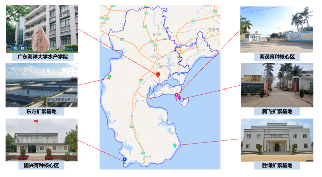 68AC99D7DF4C00EEF41077F3F08_734615A6_43B24