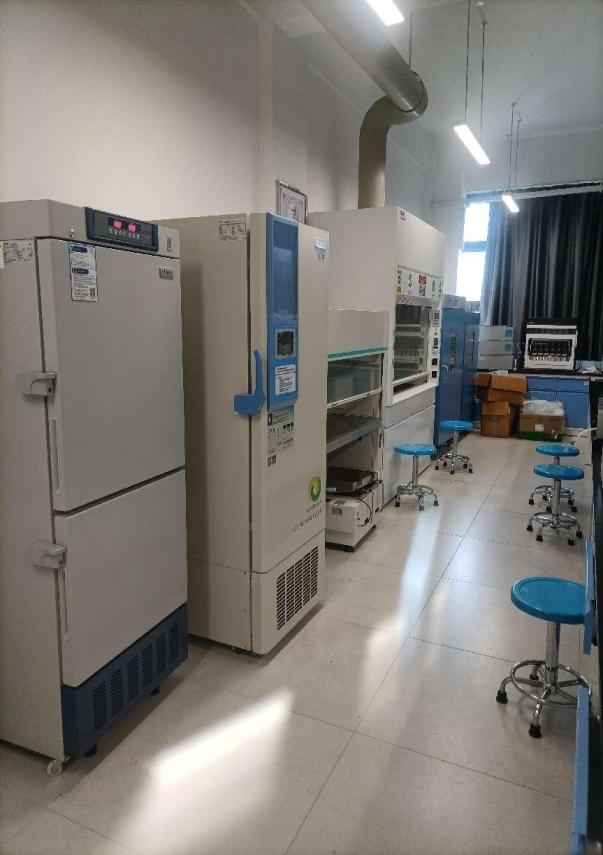 530D9B430793964F05DF8D12F47_49D2A94C_6E26A