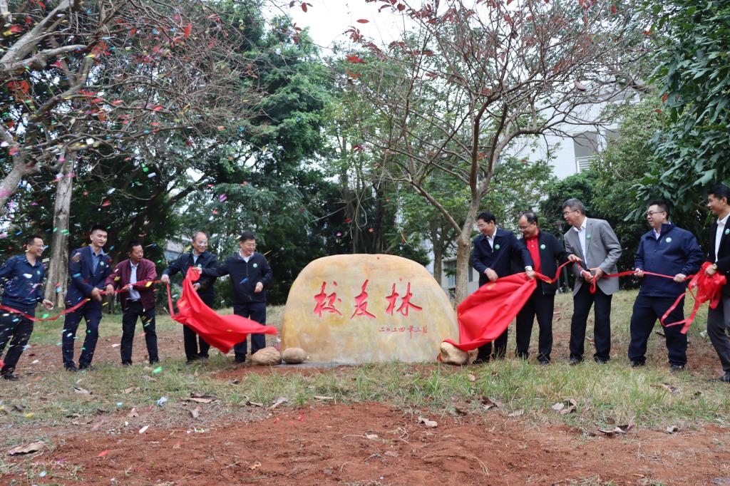 FB340F91019F4A5FF7A46A71BDF_5A23DBE9_3246C