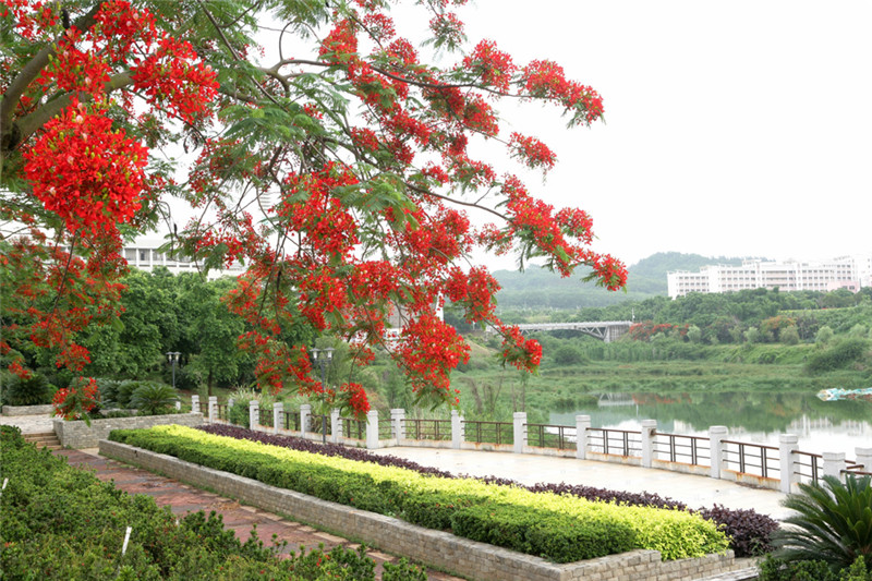 ��ҳ|�Ϲ�NG28��������Ʒ��ʵ������