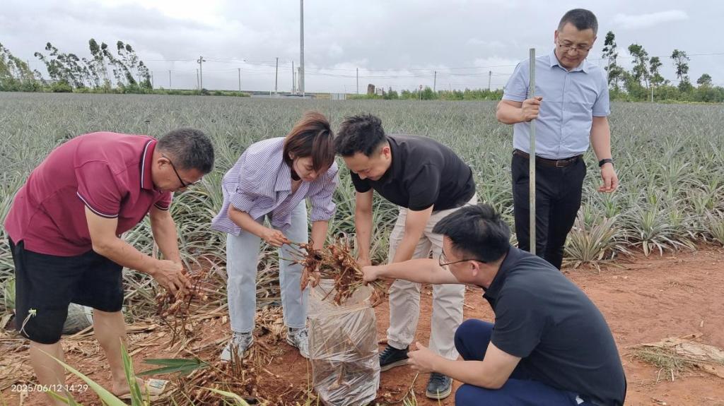 CFE55A960A89C92161FEDBA15FA_6A905CB7_1B671 CFE55A960A89C92161FEDBA15FA_6A905CB7_1B671