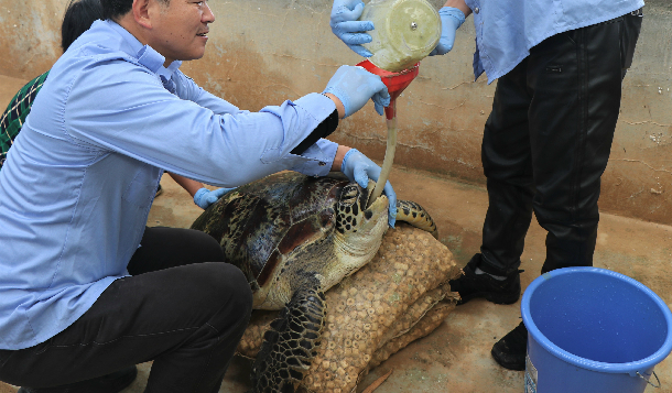 1551167120119507.jpg 1551167120119507.jpg