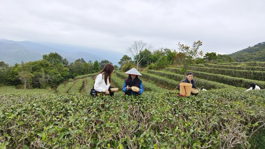 898FA01B43D3F56E9839ED7B0E5_EE9F3BCA_25A2C