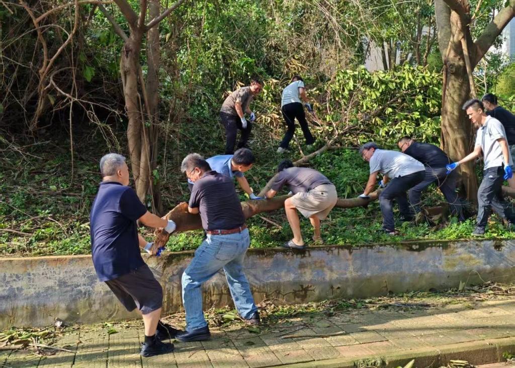 107FEB76BCFC1D6991133C1FDA0_9188F460_2E390