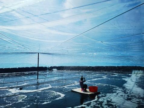 F7C0253A382CA7BEF45D0854ACC_9EC0EF92_83C7 F7C0253A382CA7BEF45D0854ACC_9EC0EF92_83C7