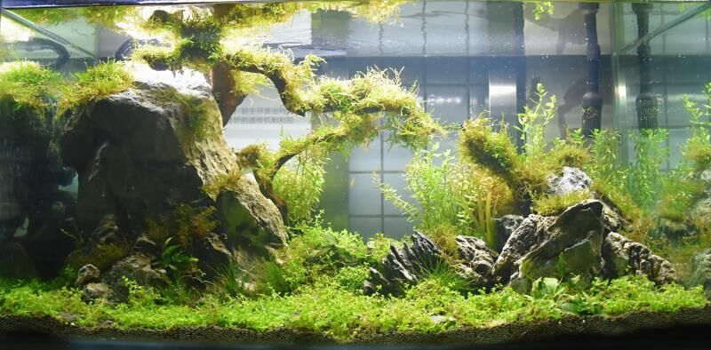 1526976847487162.jpg 1526976847487162.jpg