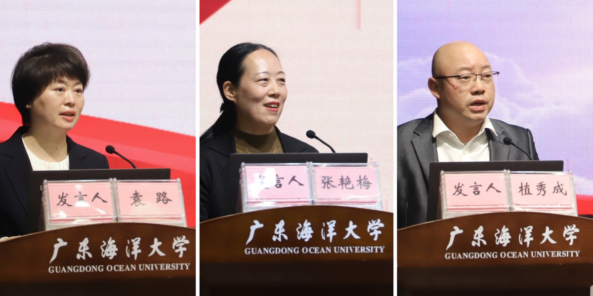 2D1D81E9D69AF488FB0E0B0E34B_A0AF5805_33733 33733