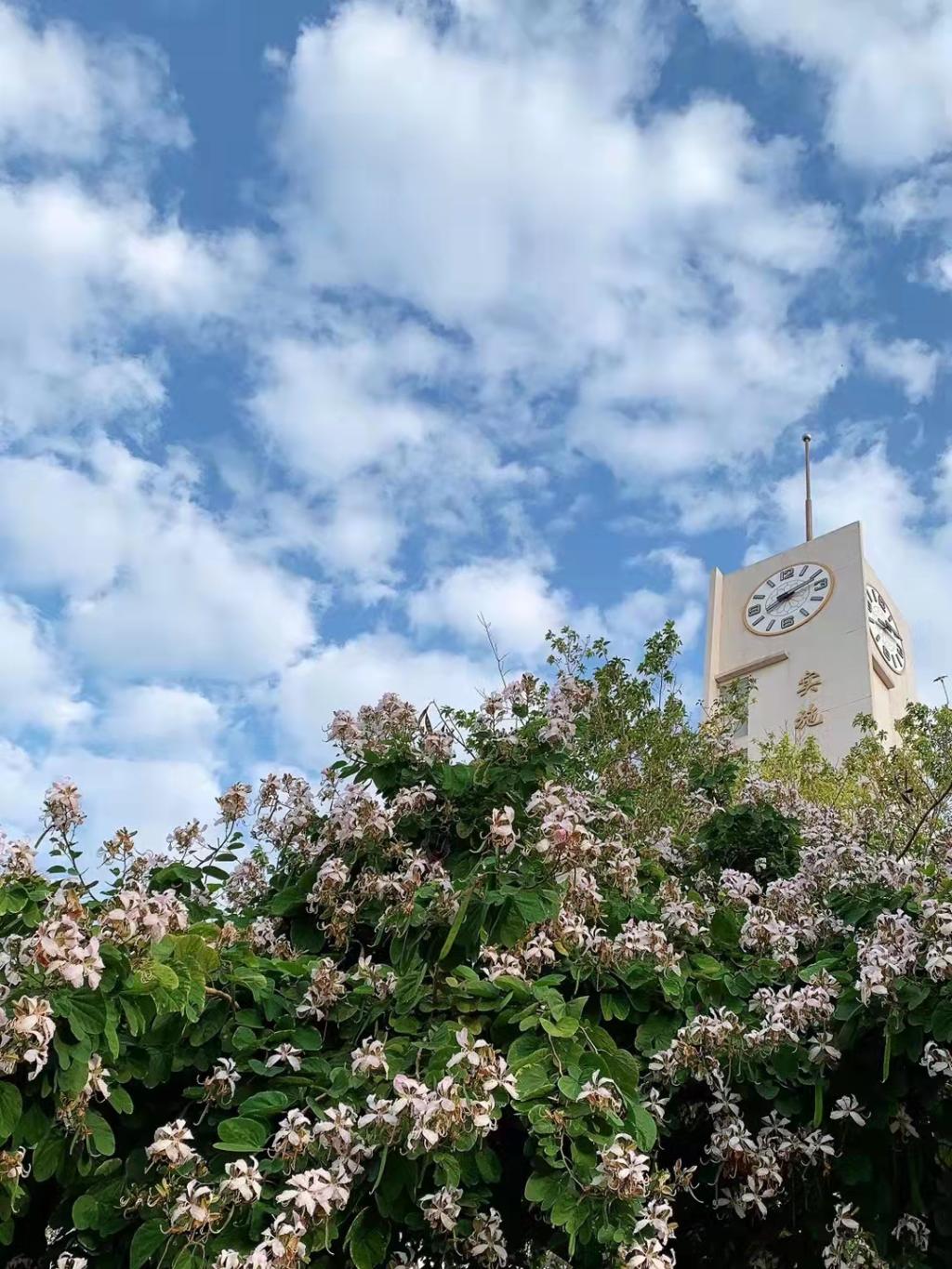 ��ҳ|�Ϲ�NG28��������Ʒ��ʵ������