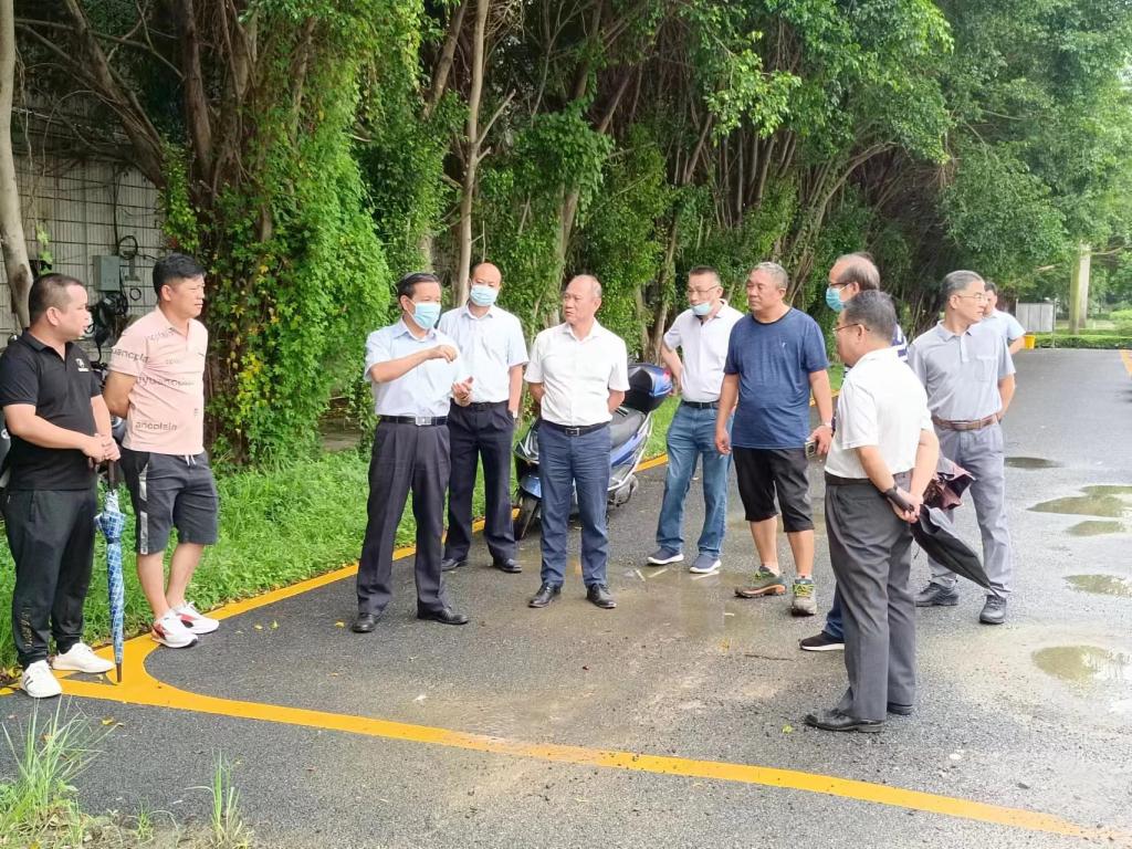 E9EF8CED9869A257582C5DC81B9_2516A2E4_2E472