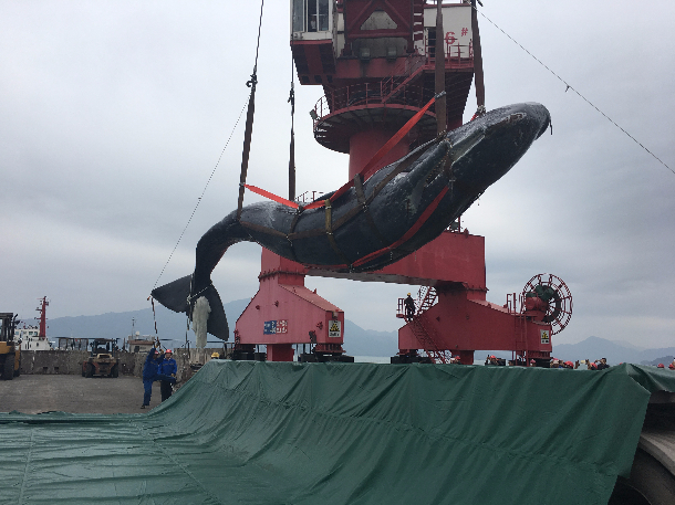 1489995000104025.jpg 1489995000104025.jpg