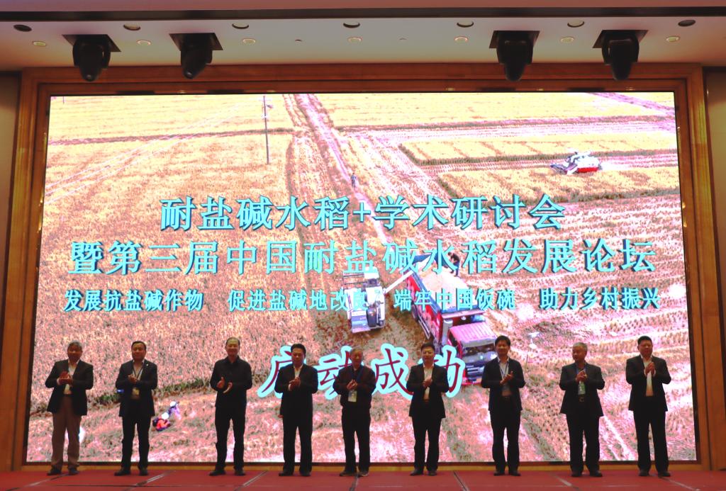 AEAA84ED3F99F6B31DEC203C740_E29482E9_260E7 260E7