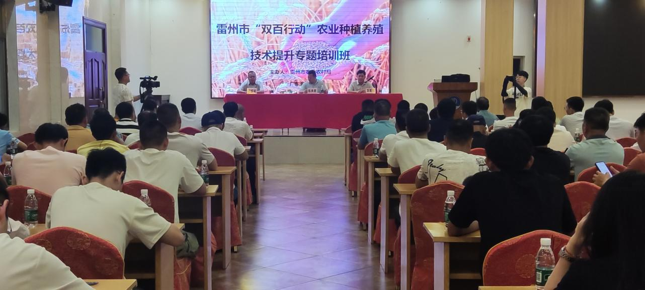 3FF86B6B997685CDA82AA8F4E5E_D3BD8196_BAB2D