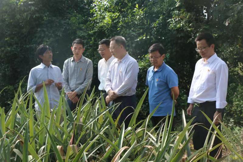 1574059459125231.jpg 1574059459125231.jpg