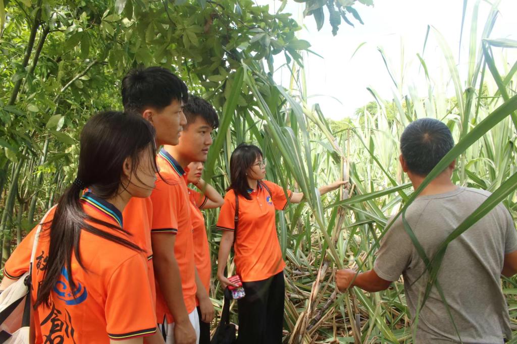 453A124FF50D9BD0FB9AE3B6A01_A4586621_1F952