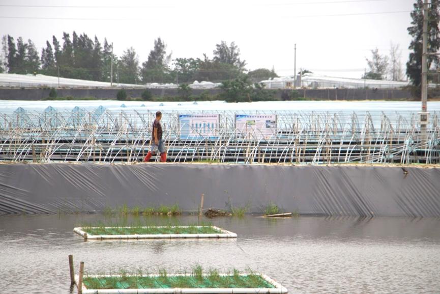 1F21B2BAD66DC7180B605EA018D_C0563985_14285