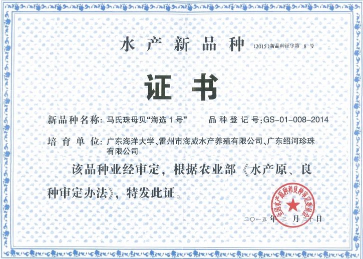 ��ҳ|�Ϲ�NG28��������Ʒ��ʵ������