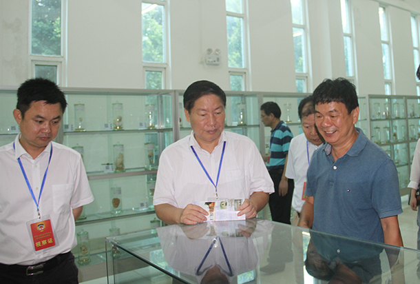 1530151729231510.jpg IMG_068111.jpg