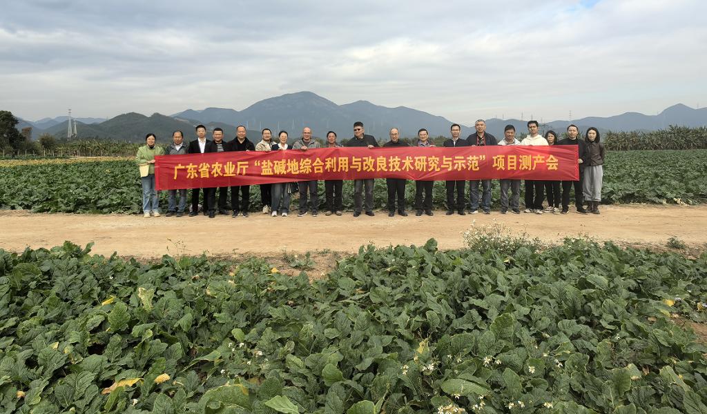 08CD625F8F8532D115266CA2FEA_73318A1D_21F1E